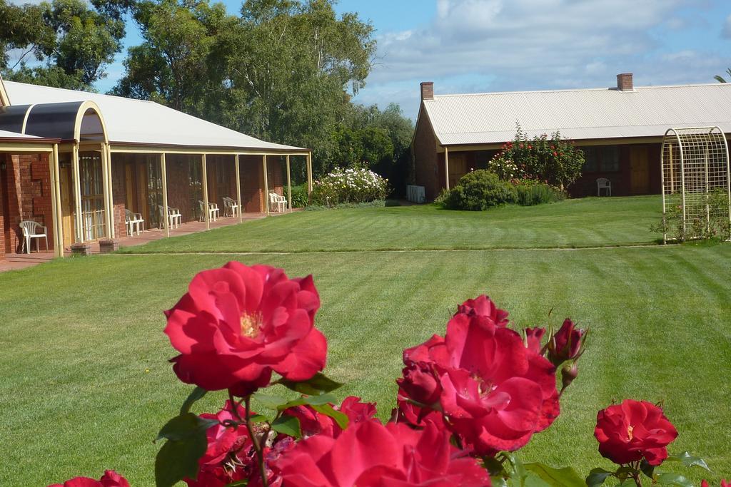 Coonawarra Place Motor Inn Екстер'єр фото