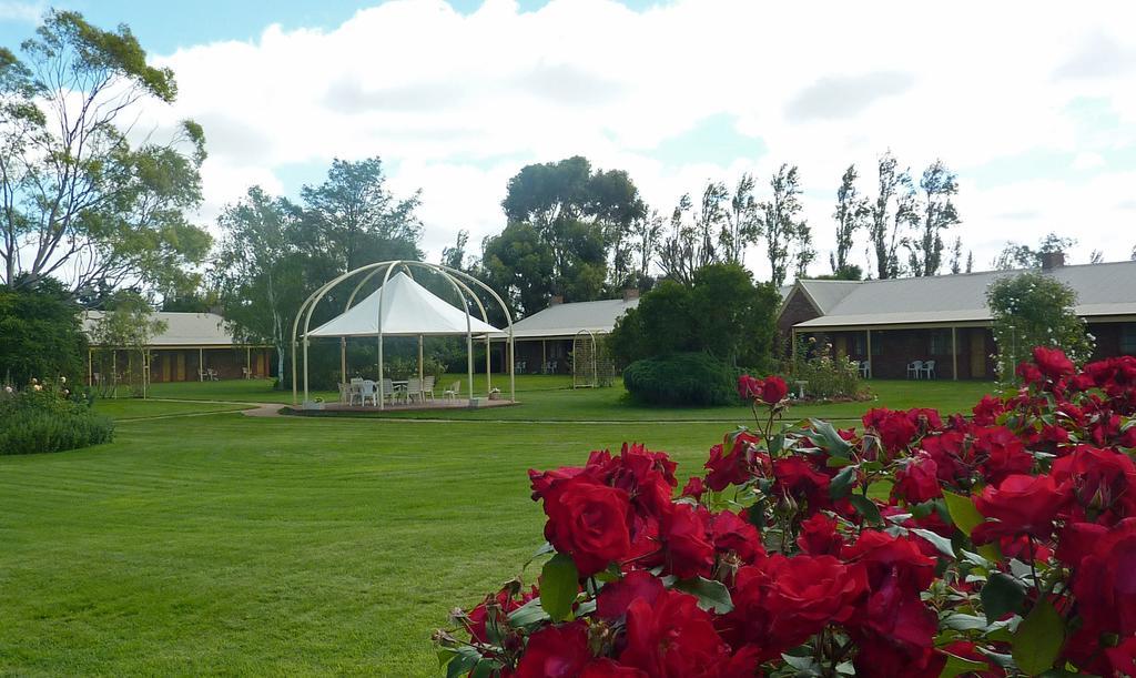 Coonawarra Place Motor Inn Екстер'єр фото