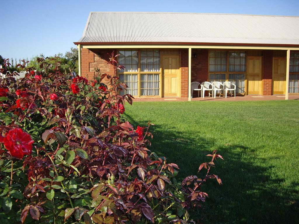 Coonawarra Place Motor Inn Екстер'єр фото