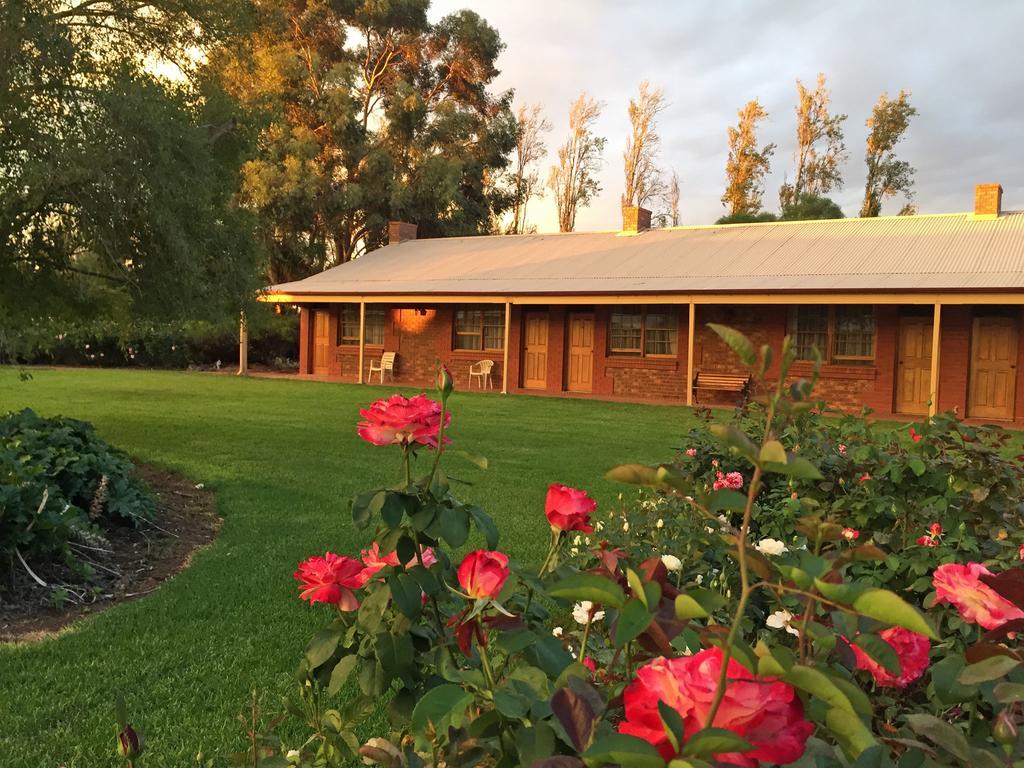Coonawarra Place Motor Inn Екстер'єр фото