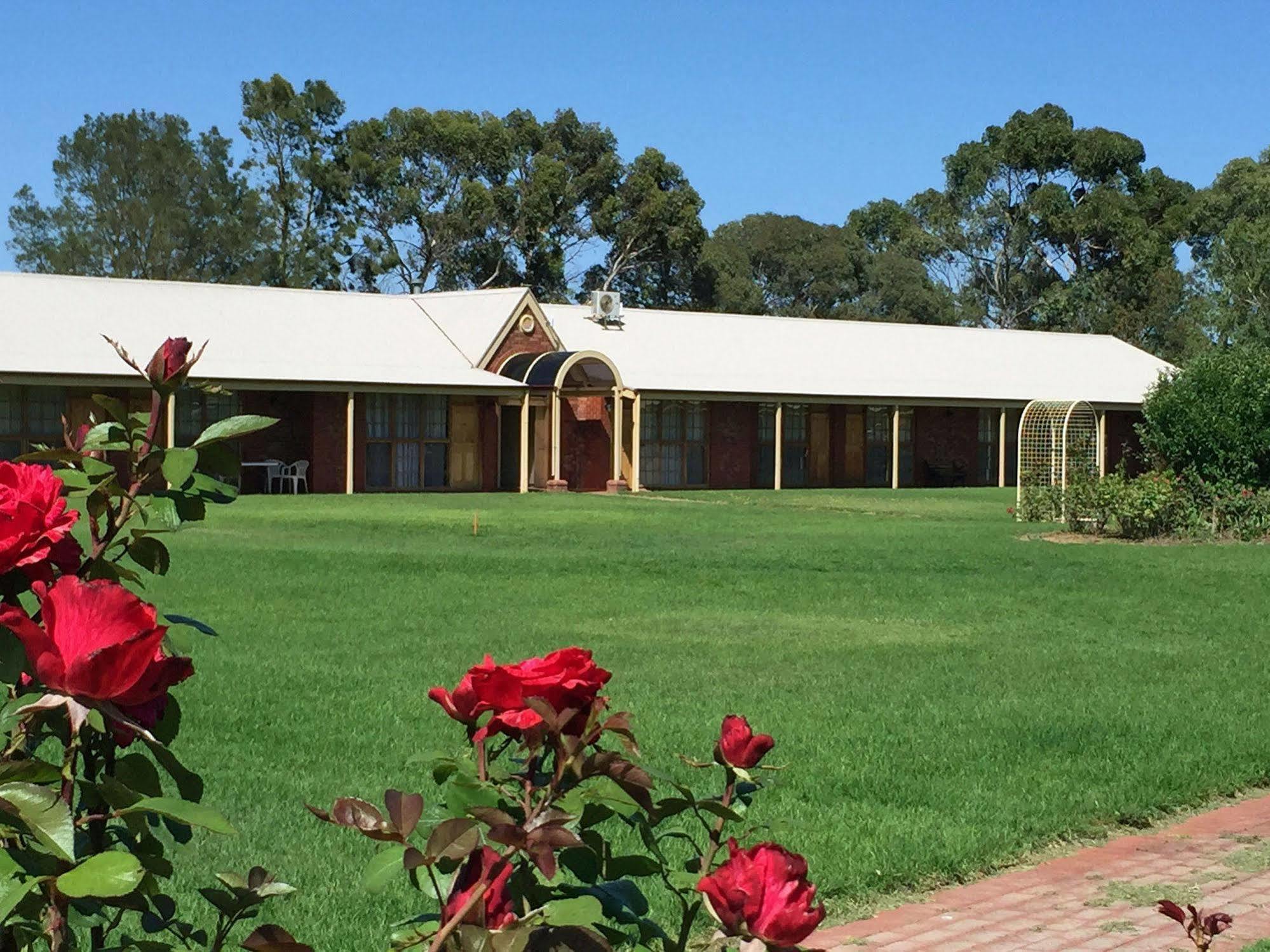 Coonawarra Place Motor Inn Екстер'єр фото
