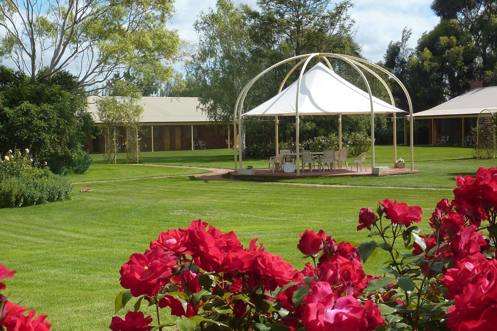 Coonawarra Place Motor Inn Екстер'єр фото