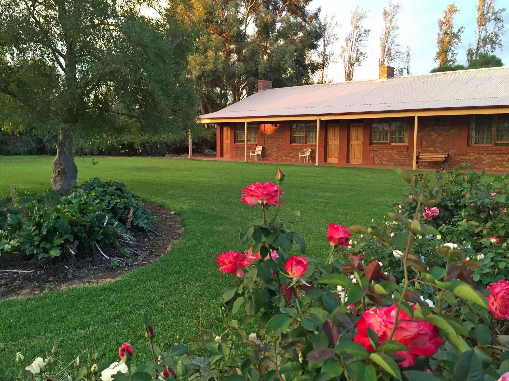 Coonawarra Place Motor Inn Екстер'єр фото
