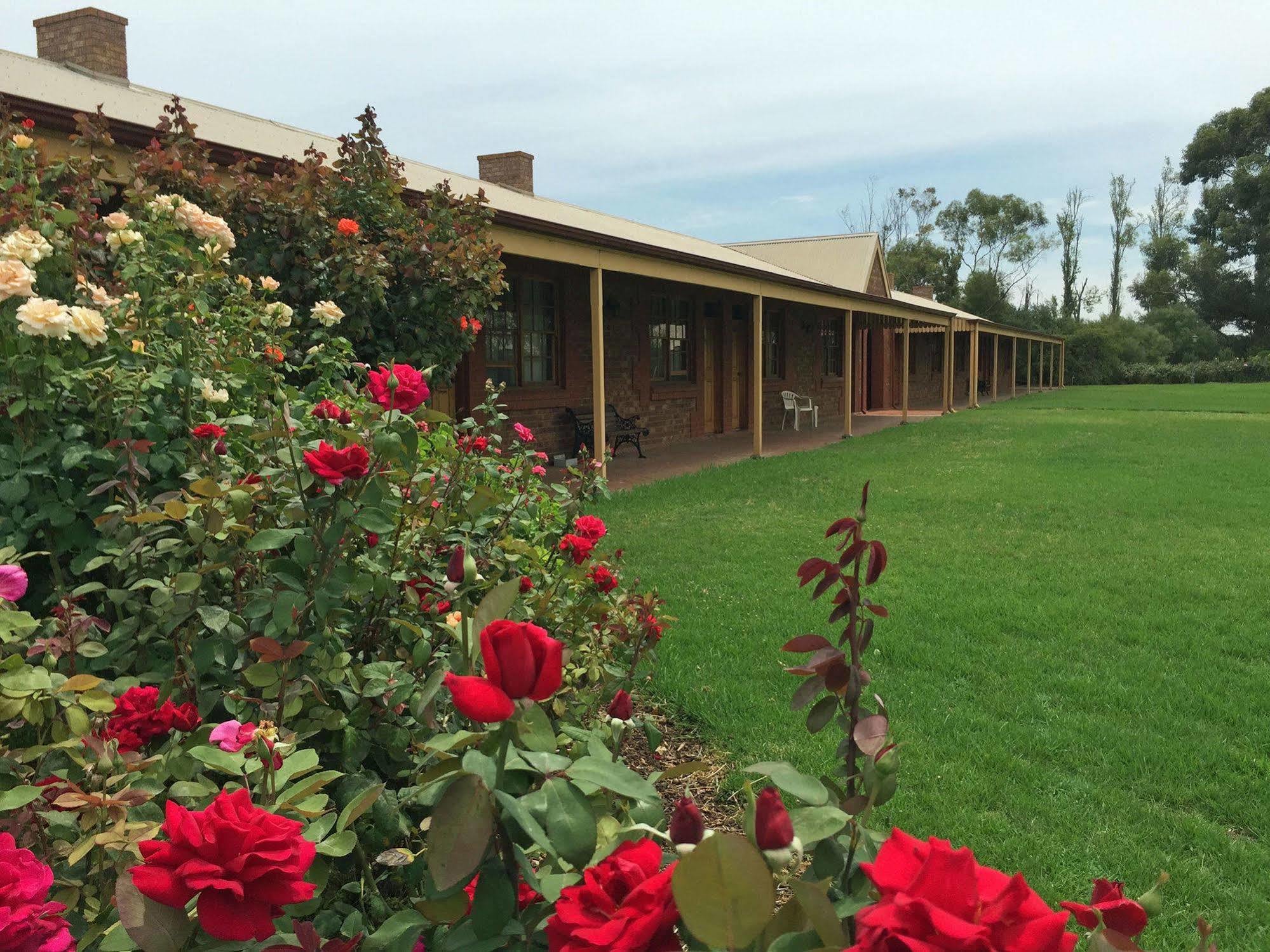 Coonawarra Place Motor Inn Екстер'єр фото